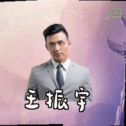 王振宇